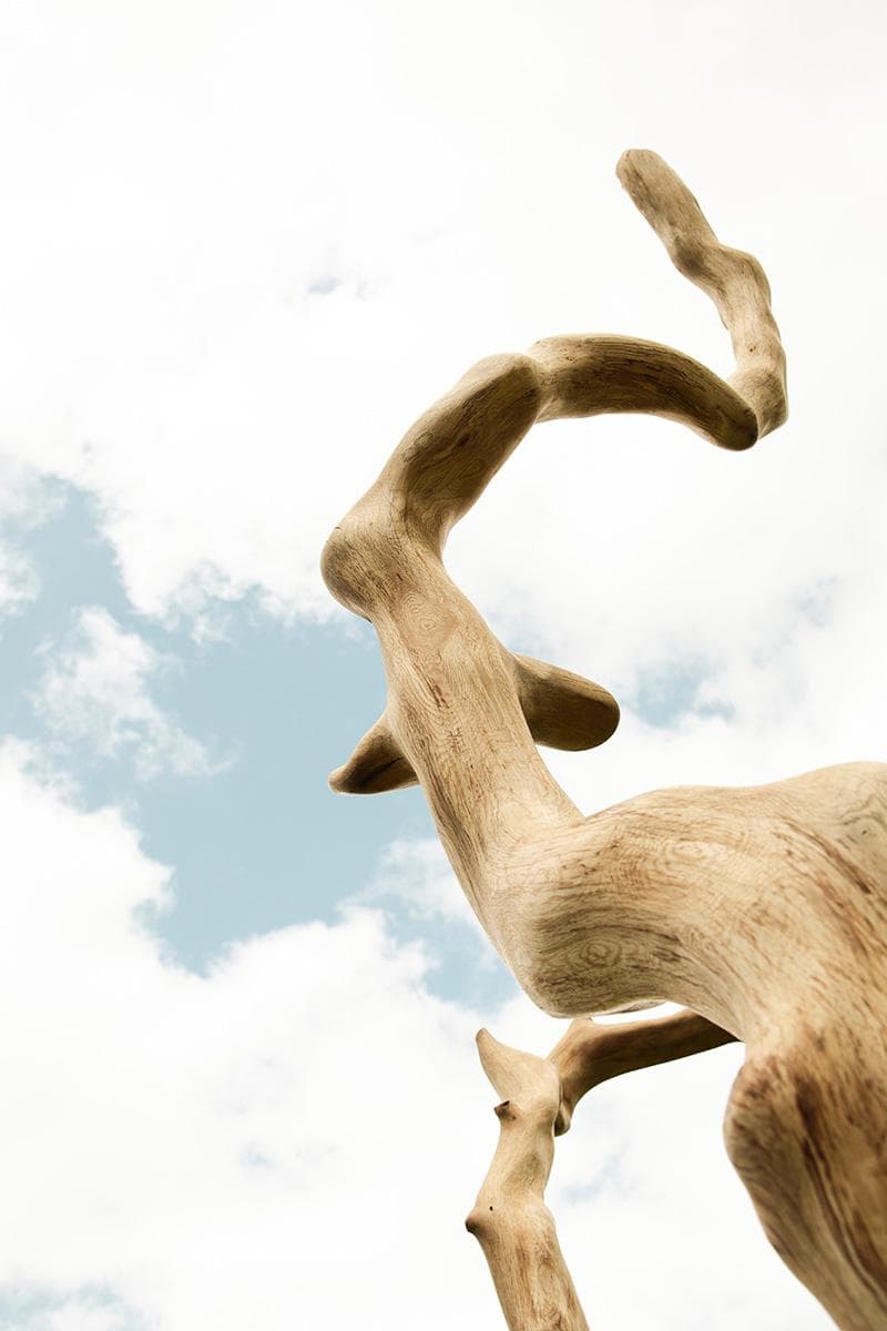 Smooth, light-colored wooden sculpture with twisting organic forms reaching toward a bright, cloudy sky.